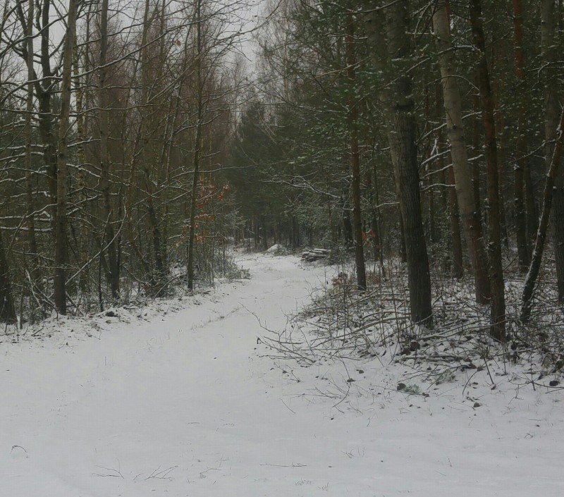 20201213_121001-1-1.jpg