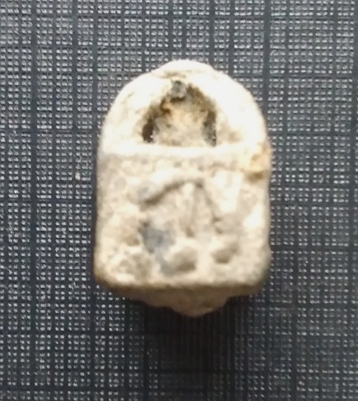 IMG_20201221_104032.jpg