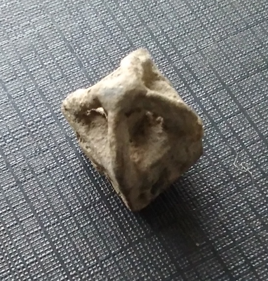 IMG_20201221_104101.jpg
