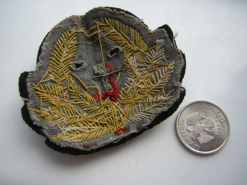 DSCN8050.JPG
