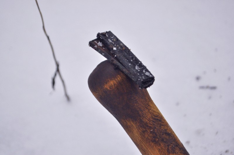 CSC_6472.JPG