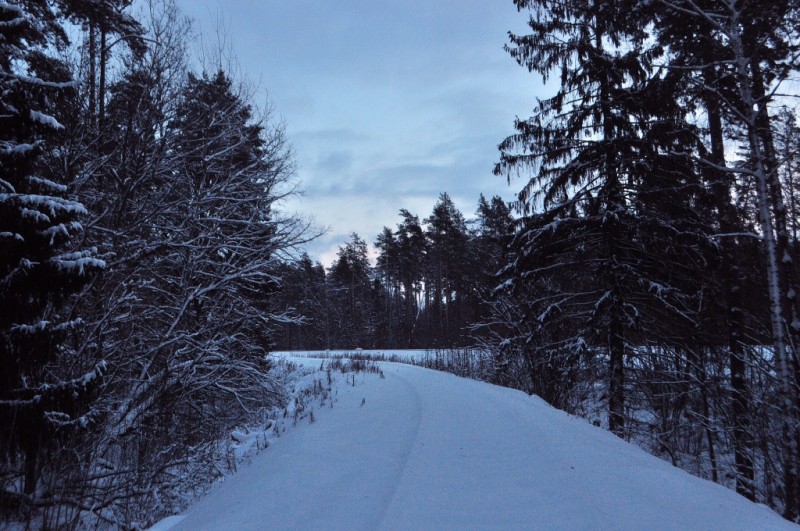 CSC_6511.JPG