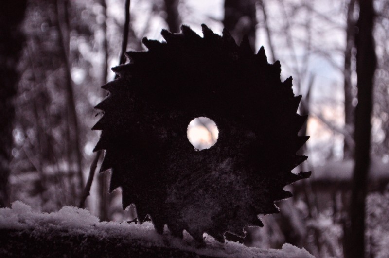 CSC_6525.JPG