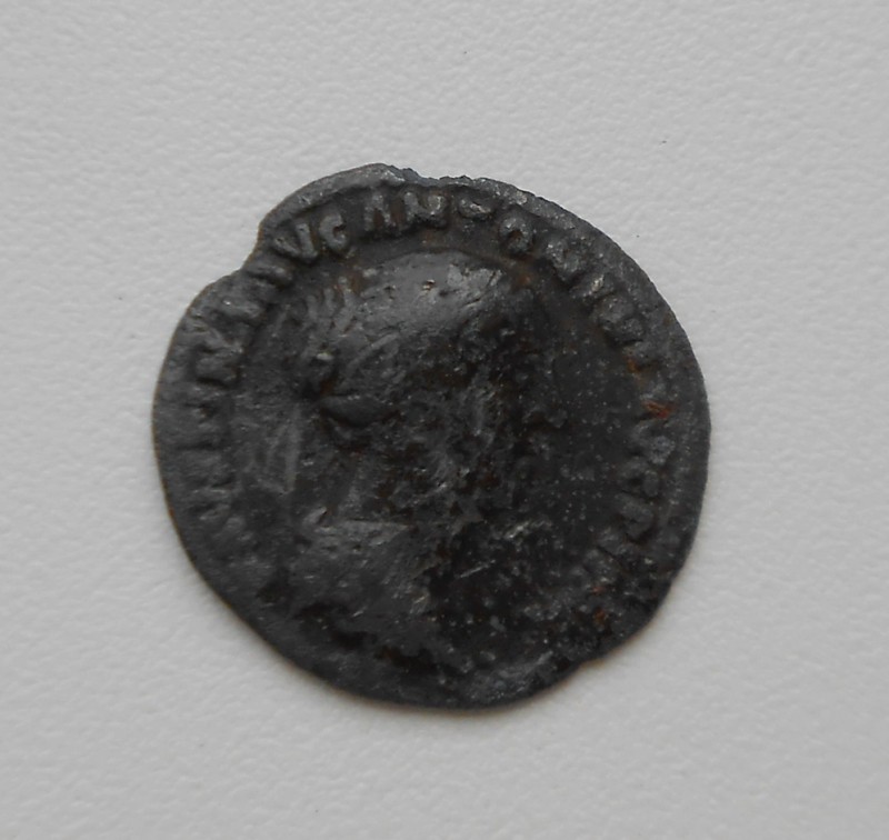 DSCN2331.JPG