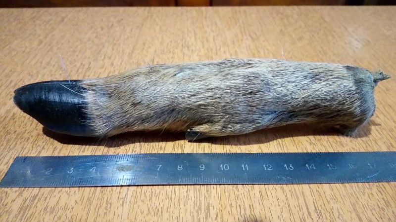 DSC_0813.JPG