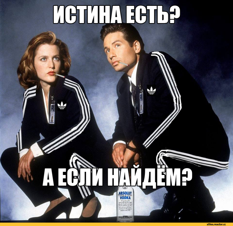 The-x-files-фэндомы-гопники-малдер-3330476.png