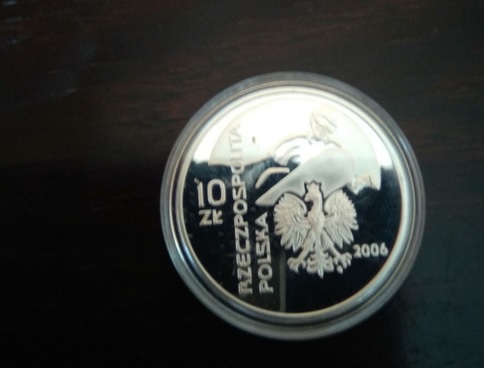 3591656180.jpg