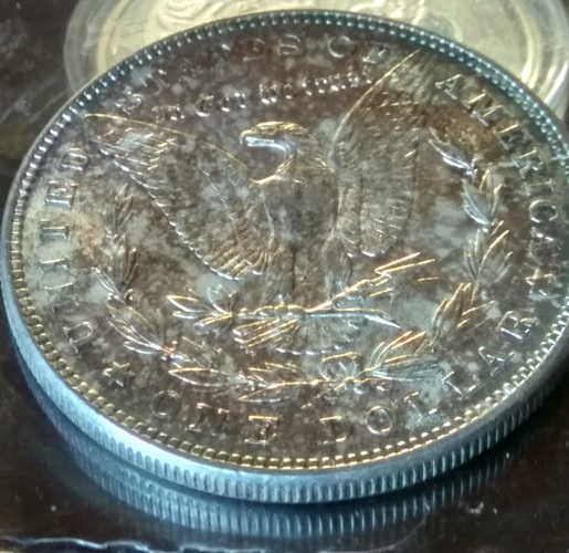 3525749456.jpg