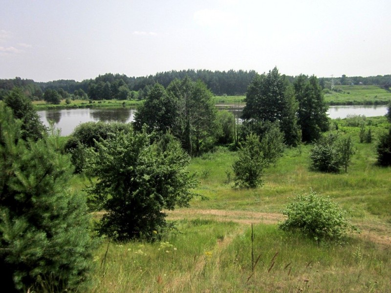 IMG_7338.JPG
