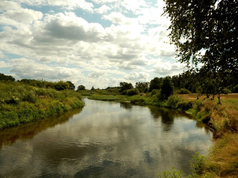 DSCN4602.JPG