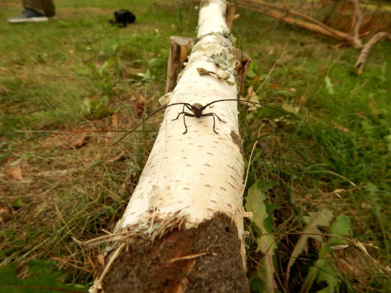 DSCN4626.JPG
