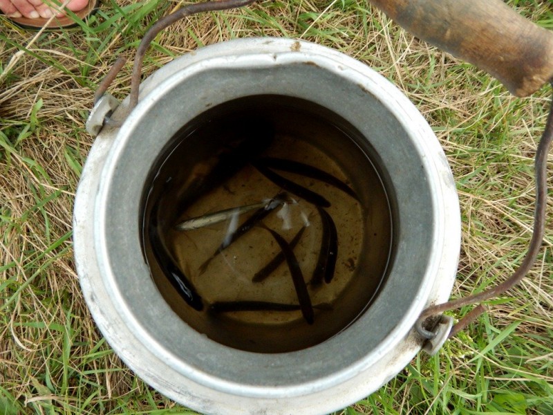 DSCN4642.JPG