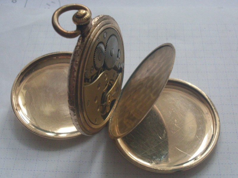 SDC18289.JPG