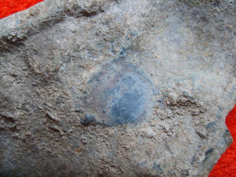 S5001884.JPG