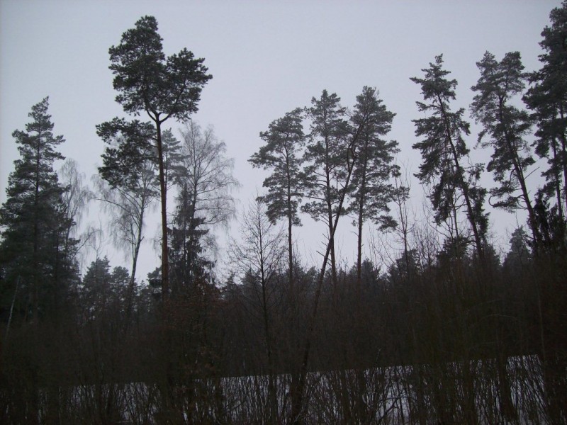 118_0562.JPG