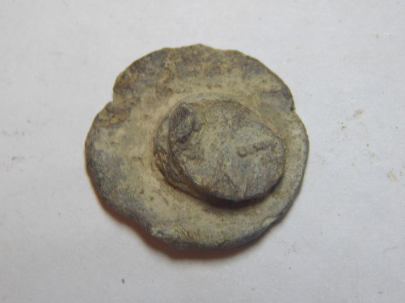 DSCN3772.JPG