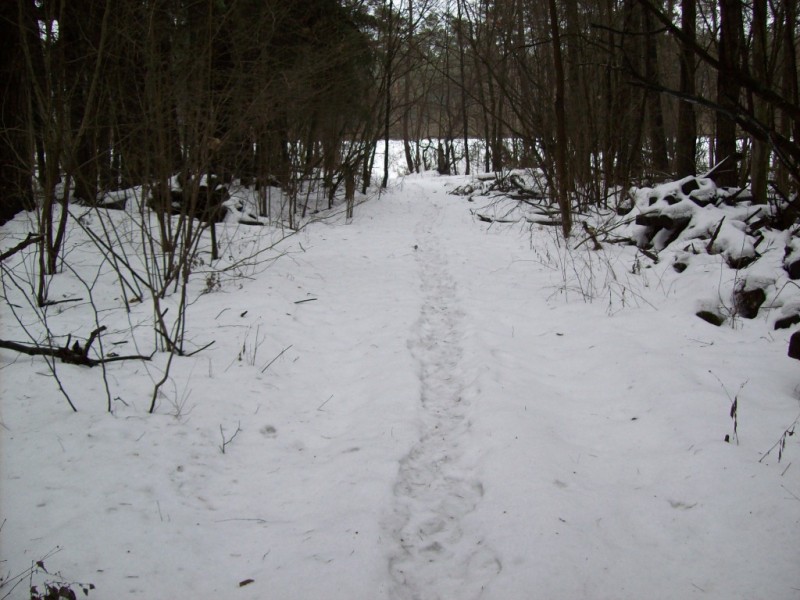 118_0637.JPG