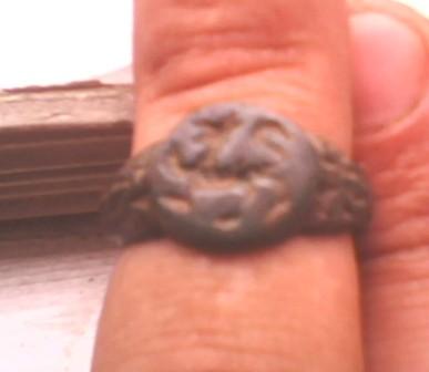 IMG0242A.jpg