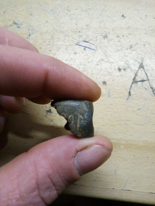 P90207-201505.jpg