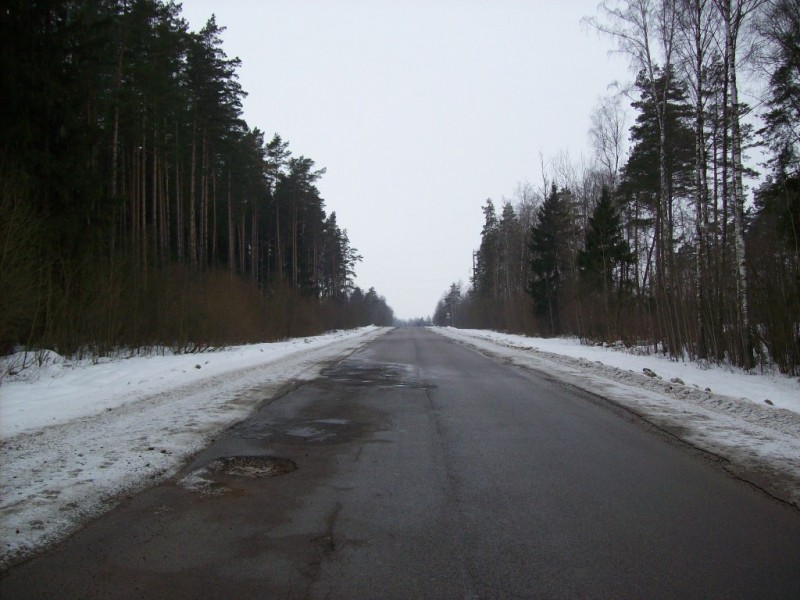 118_0704.JPG