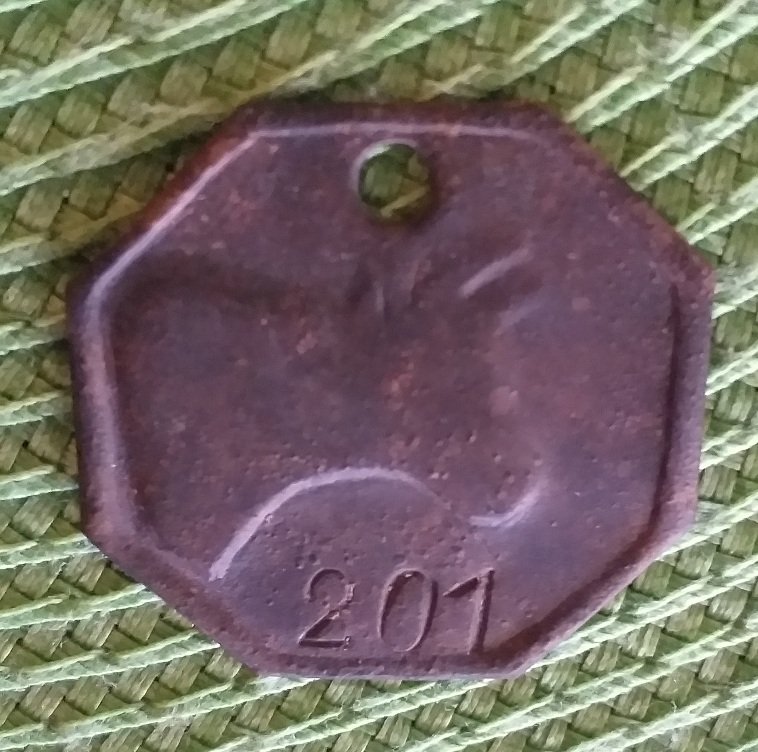20220228_225857.jpg