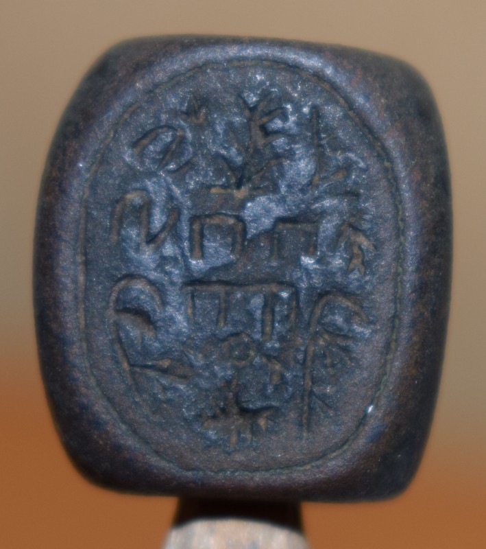 DSC_1201.jpg