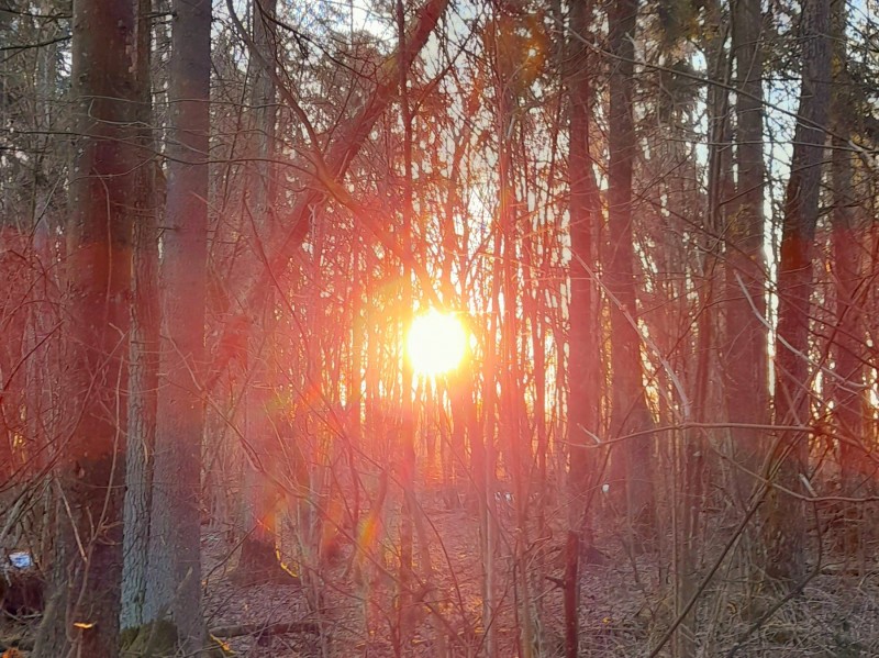 20220227_084851.jpg