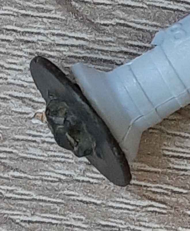20220407_181753.jpg