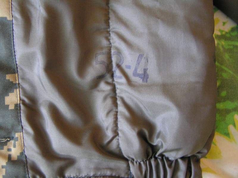 P1010008.JPG