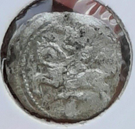 20220719_114126.jpg