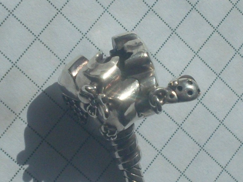 SDC18622.JPG