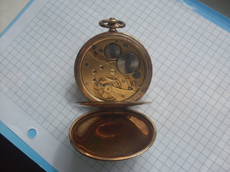 SDC18631.JPG