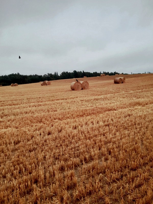 20220912_093311.jpg