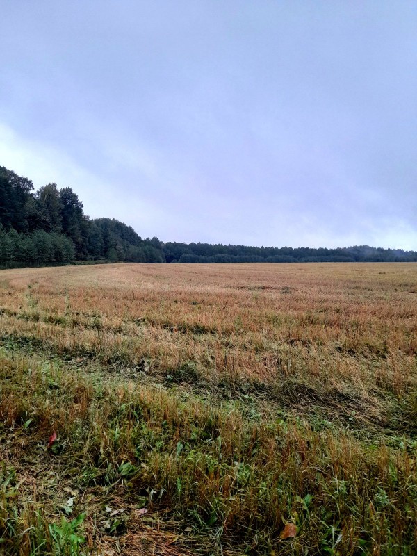 20220924_071646.jpg