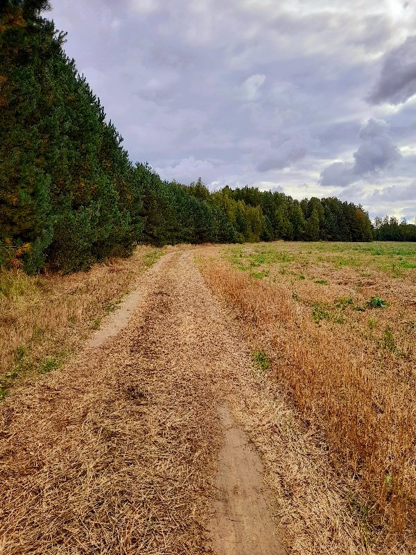 20220924_142109.jpg