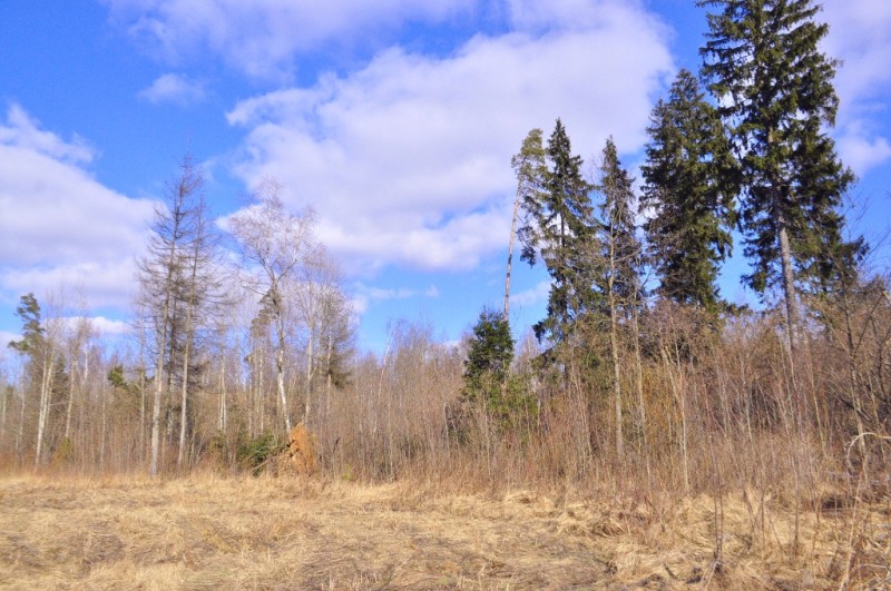 CSC_0083.JPG