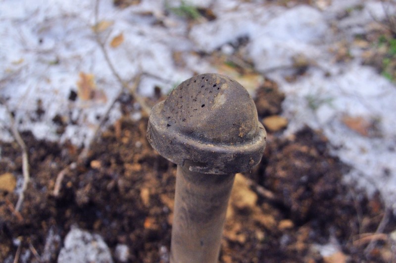 CSC_0084.JPG