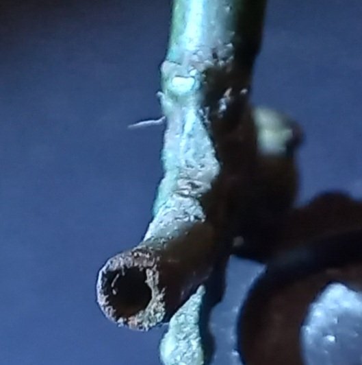 20221019_181450.jpg