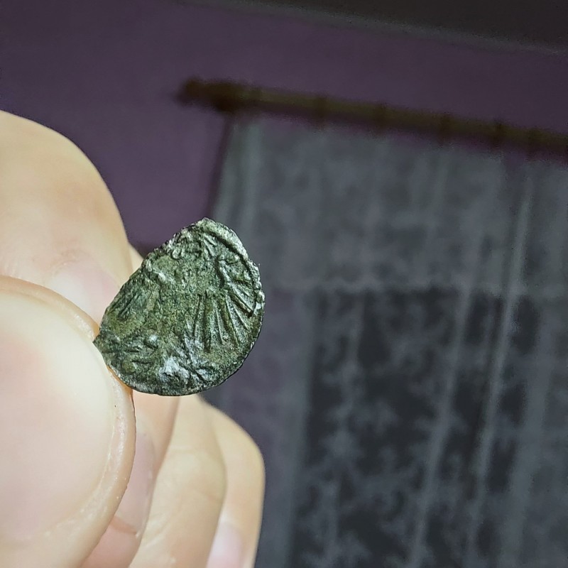 20221020_200751.jpg