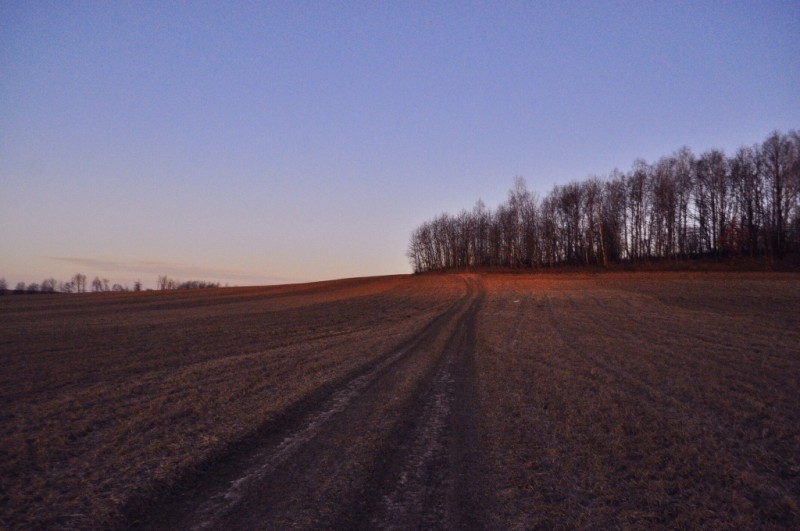 CSC_0071.JPG