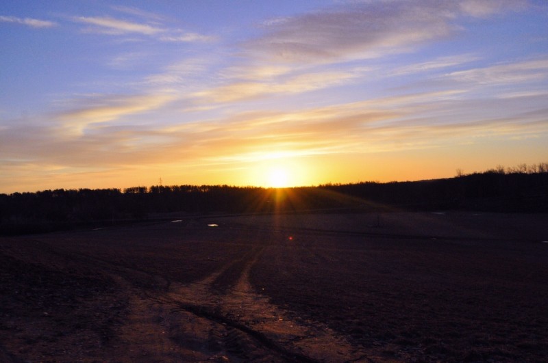 CSC_0065.JPG