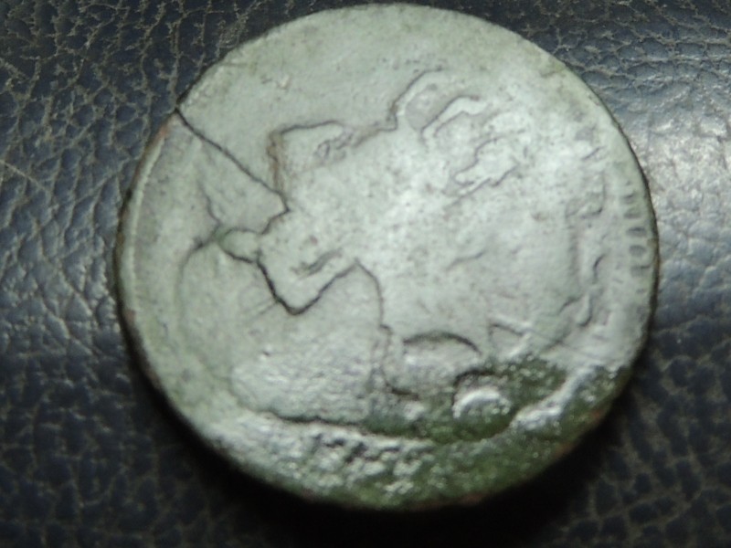 RSCN7827.JPG