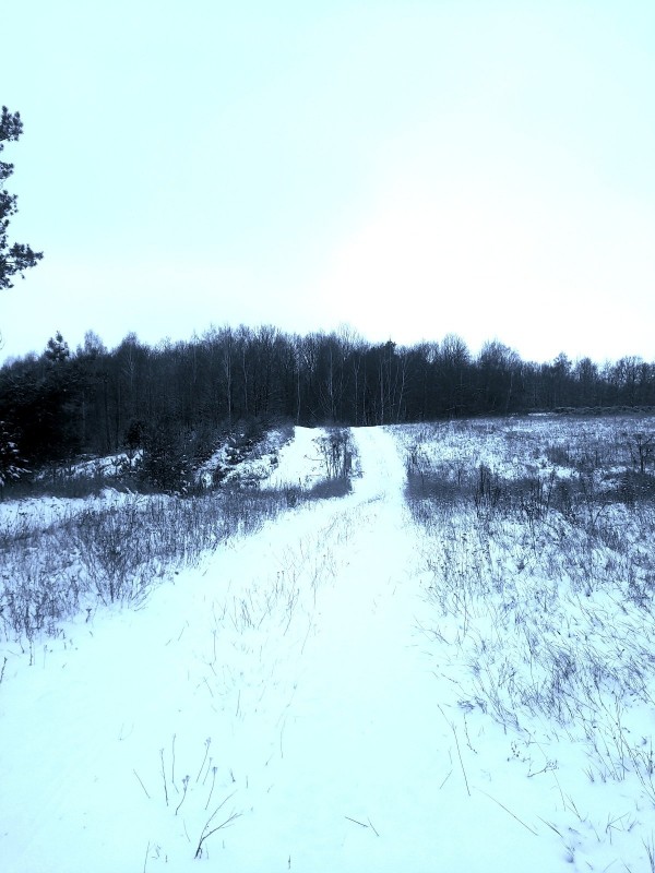 20221122_090525.jpg
