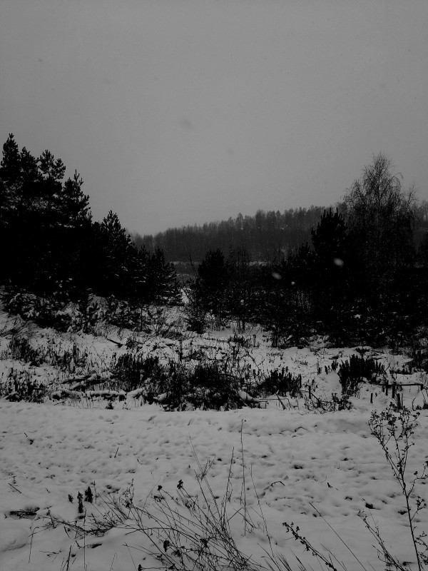 20221124_132331.jpg