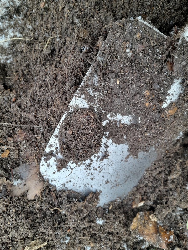 20221126_100452.jpg
