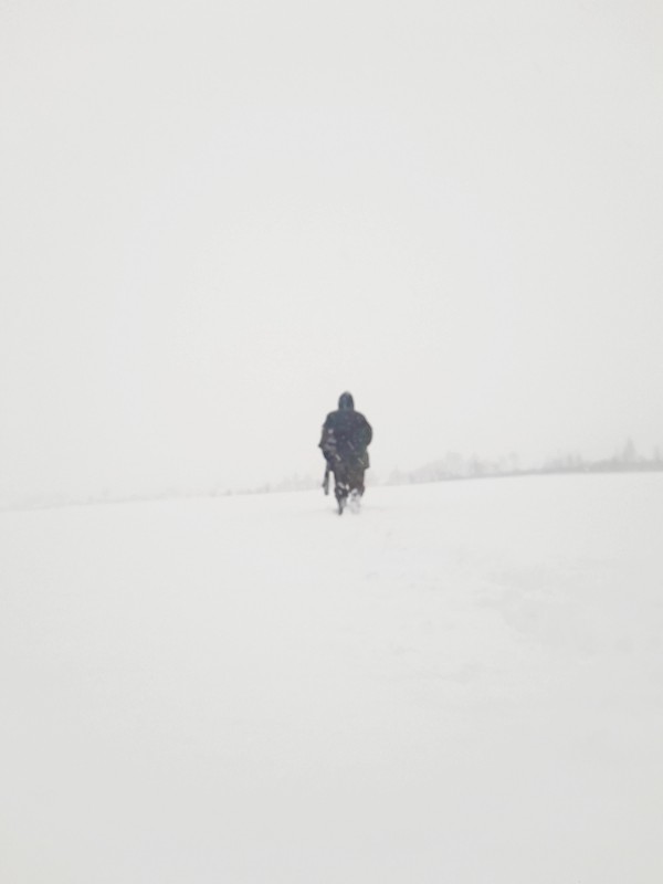 20221211_100958.jpg