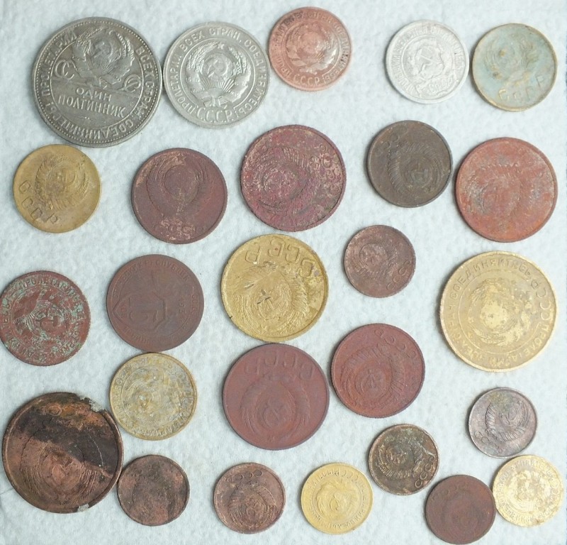 DSCF2595.JPG