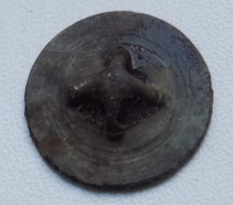 DSCN2414.JPG