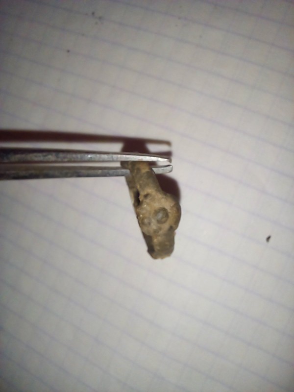 20230111_184032.jpg