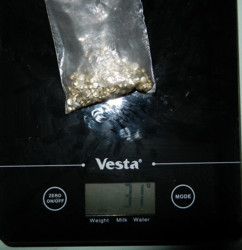 DSCN6811.JPG